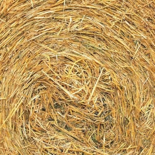 Аралаш пичан