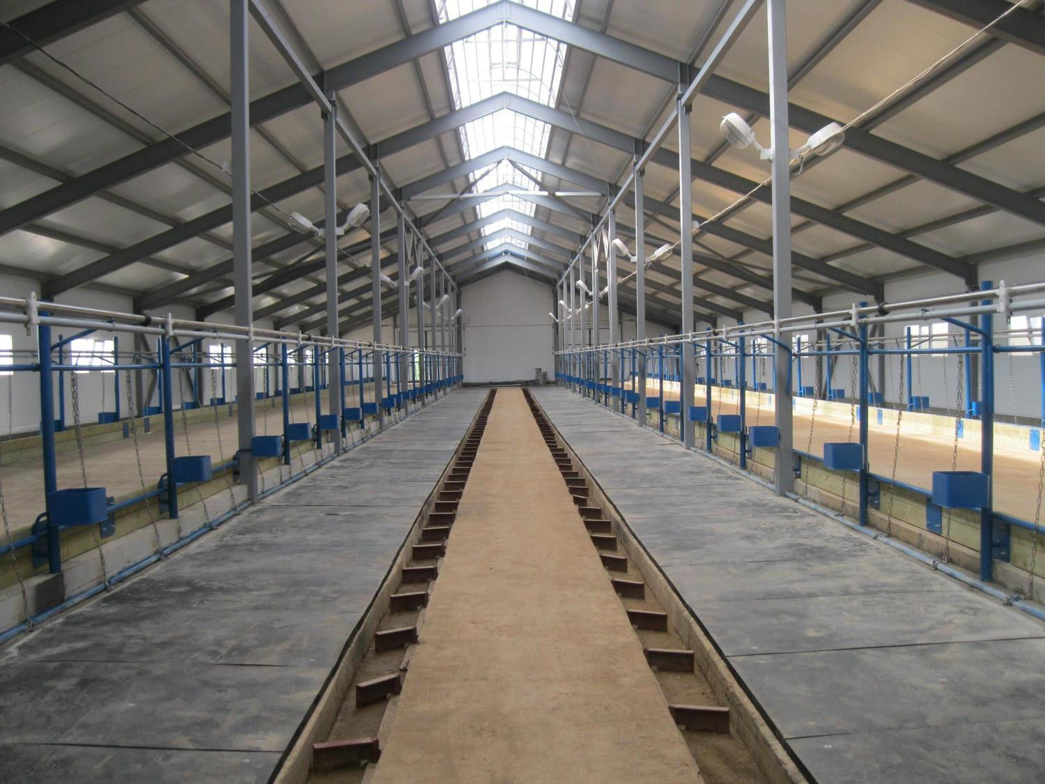 Мол фермаси