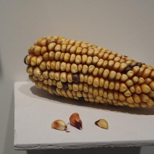 Makka joxori xaltali va rasibnoy