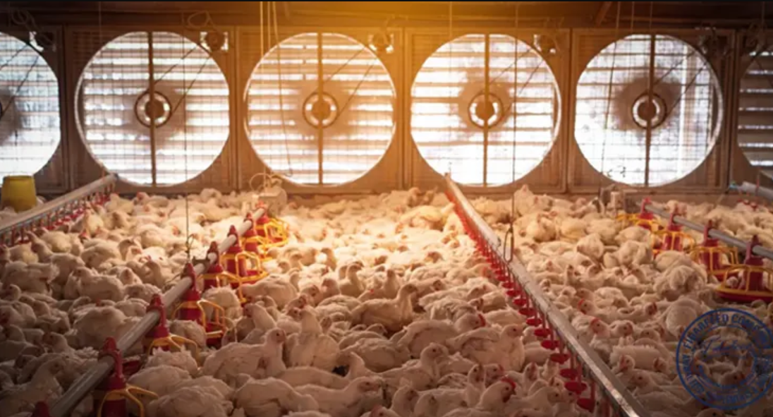 Вентиляция тизимлари